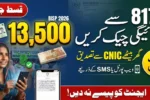 BISP 8171 Payment Check by CNIC 2026 – New Installments Released Across Pakistan